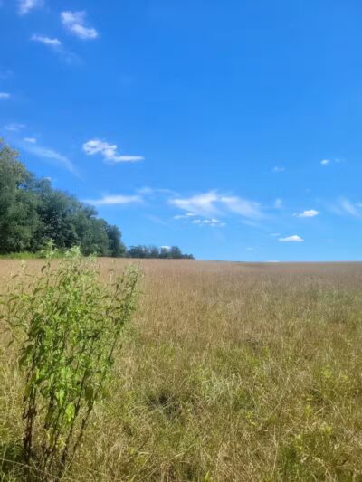 Crystal Lake Hiking Trails - Bordentown, NJ