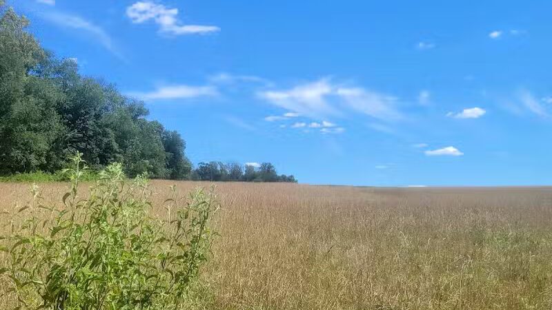 Crystal Lake Hiking Trails - Bordentown, NJ
