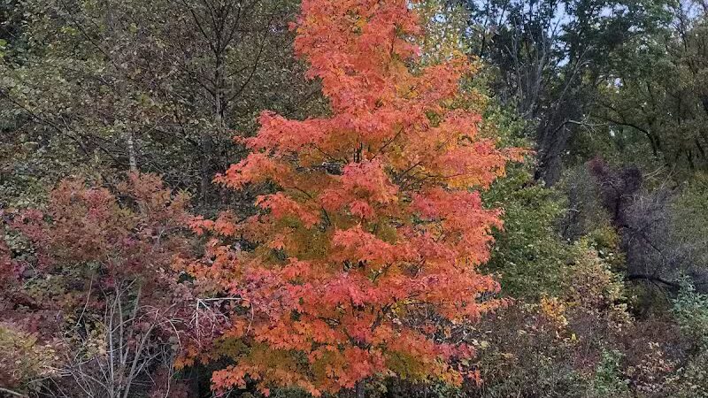 Crystal Lake Hiking Trails - Bordentown, NJ
