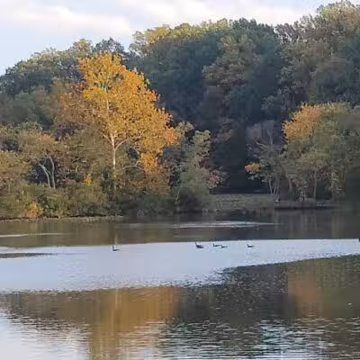 Crystal Lake Hiking Trails - Bordentown, NJ