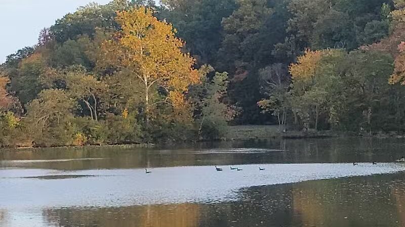 Crystal Lake Hiking Trails - Bordentown, NJ