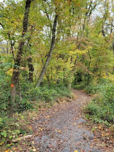 Crystal Lake Hiking Trails - Bordentown, NJ