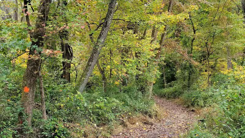 Crystal Lake Hiking Trails - Bordentown, NJ