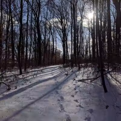 Crystal Lake Park - Bordentown, NJ