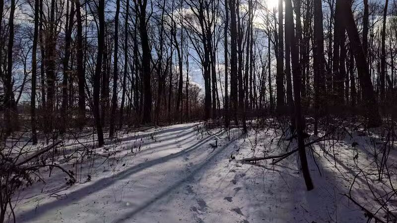 Crystal Lake Park - Bordentown, NJ