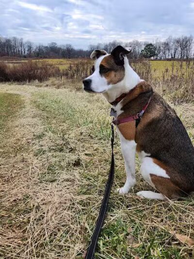 Crystal Lake Park - Bordentown, NJ