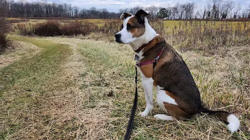 Crystal Lake Park - Bordentown, NJ