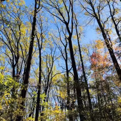 Crystal Lake Park - Bordentown, NJ