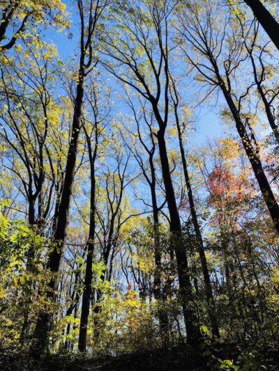 Crystal Lake Park - Bordentown, NJ