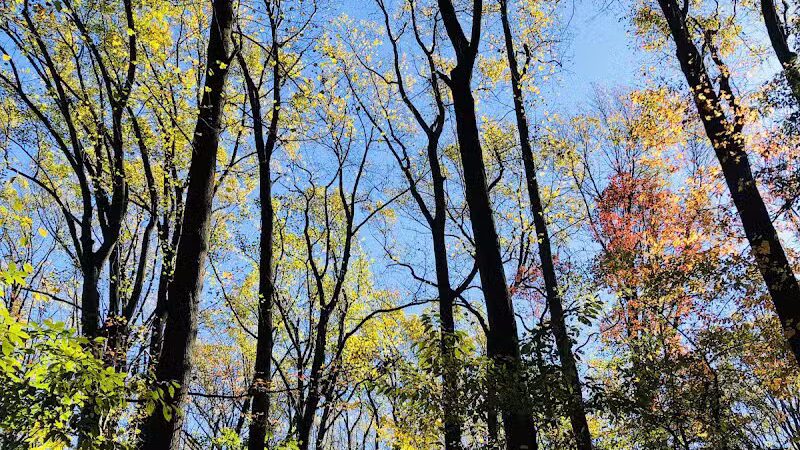 Crystal Lake Park - Bordentown, NJ