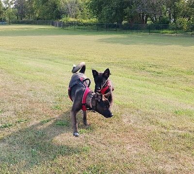 Dog Park - Bourbonnais, IL