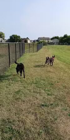 Dog Park - Bourbonnais, IL