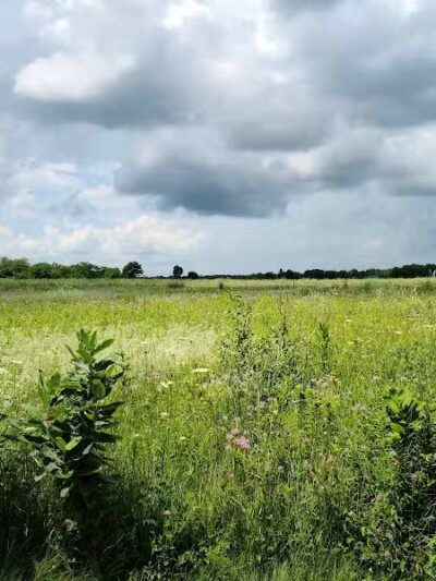 Perry Farm Park - Bourbonnais, IL