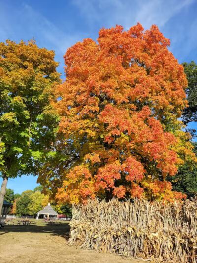 Perry Farm Park - Bourbonnais, IL