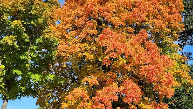 Perry Farm Park - Bourbonnais, IL