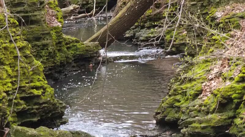 Perry Farm Park - Bourbonnais, IL