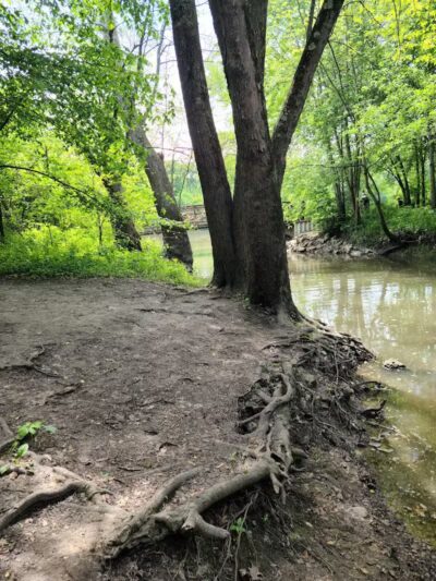 Perry Farm Park - Bourbonnais, IL