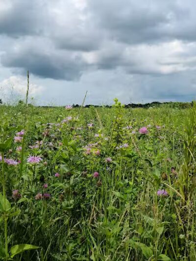 Perry Farm Park - Bourbonnais, IL