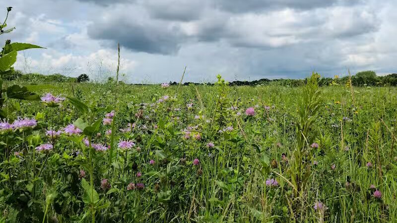 Perry Farm Park - Bourbonnais, IL