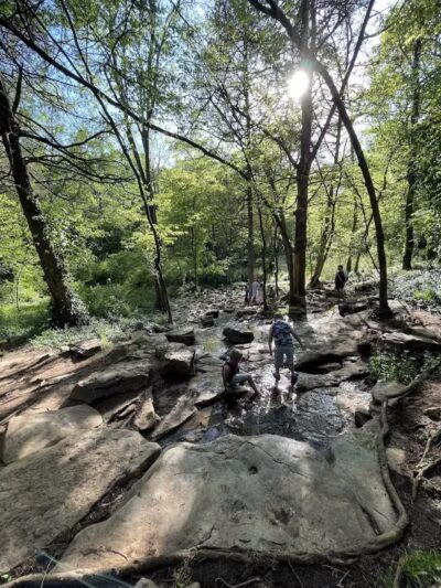 Bark Park at H.P. Thomas Park - Bowling Green, KY
