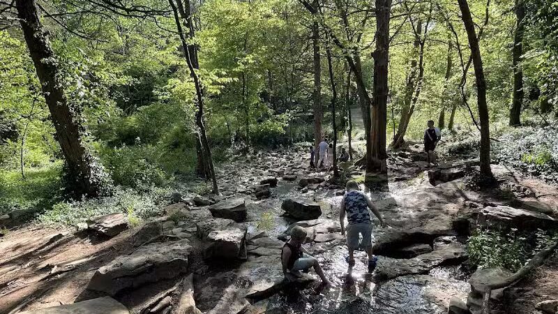 Bark Park at H.P. Thomas Park - Bowling Green, KY