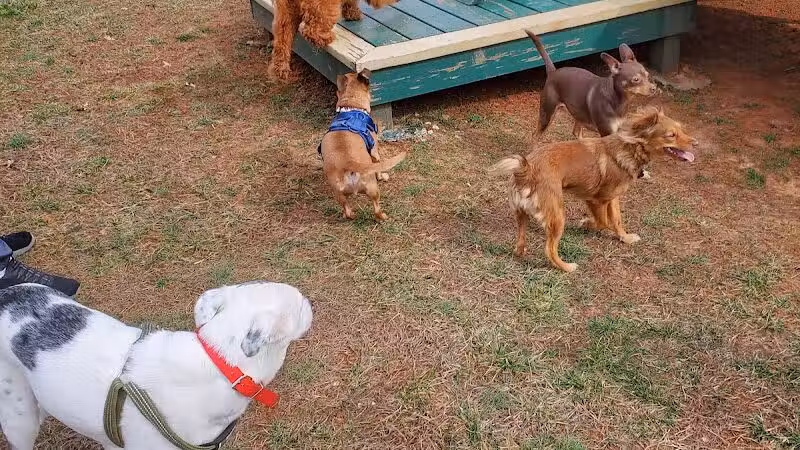 Bark Park at H.P. Thomas Park - Bowling Green, KY