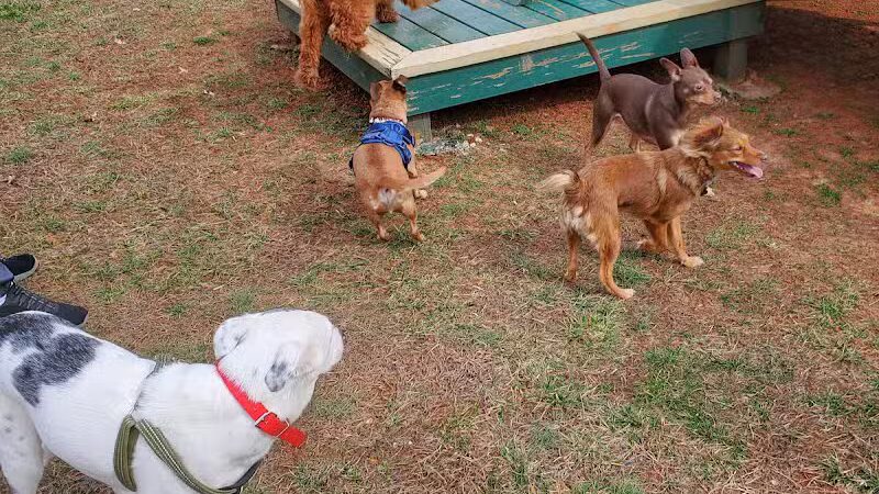 Bark Park at H.P. Thomas Park - Bowling Green, KY