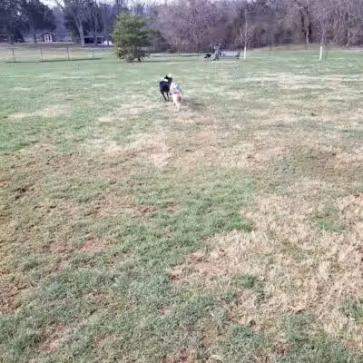 Bark Park at H.P. Thomas Park - Bowling Green, KY