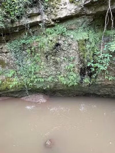 Bark Park at H.P. Thomas Park - Bowling Green, KY