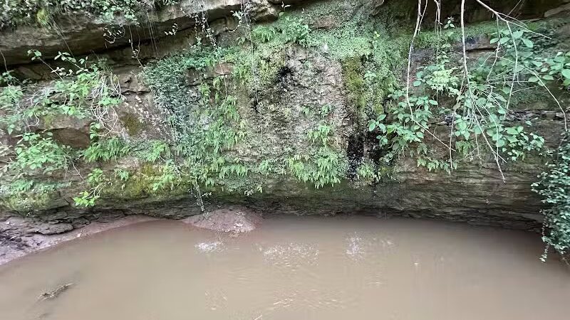 Bark Park at H.P. Thomas Park - Bowling Green, KY