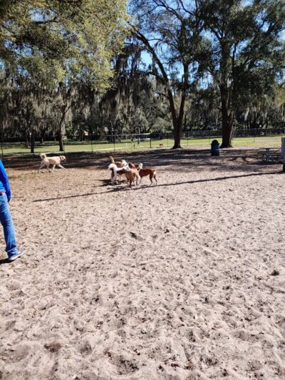 Bertha and Tony Saladino Park - Brandon, FL