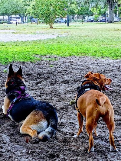 Bertha and Tony Saladino Park - Brandon, FL