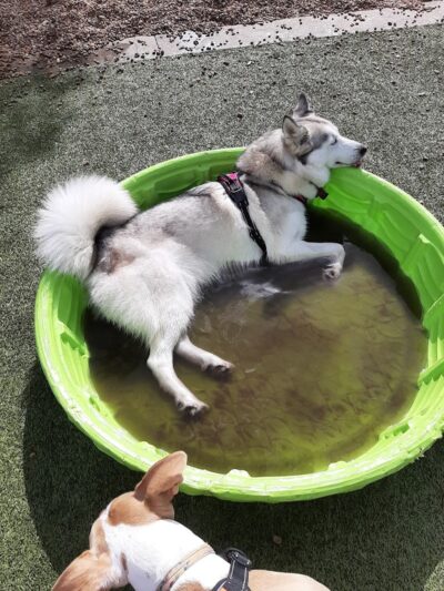 Bertha and Tony Saladino Park - Brandon, FL