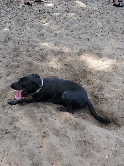 Bertha and Tony Saladino Park - Brandon, FL