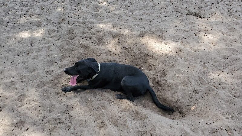 Bertha and Tony Saladino Park - Brandon, FL