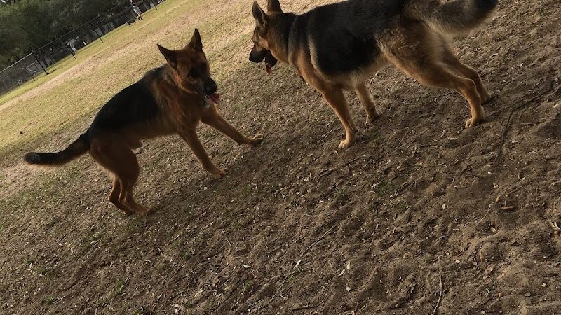 Bertha and Tony Saladino Park - Brandon, FL