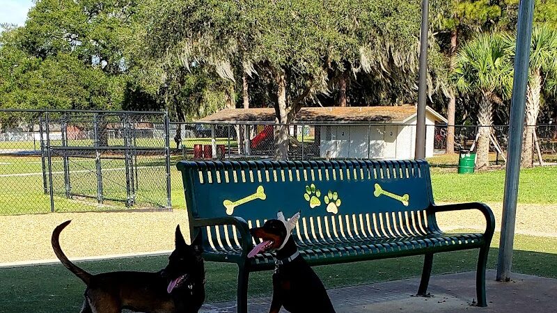 Saladino Dog Park - Brandon, FL