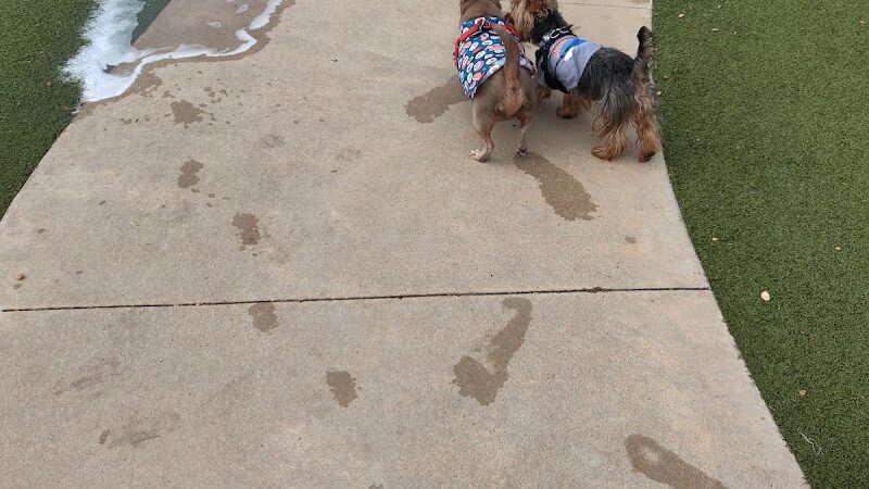 Saladino Dog Park - Brandon, FL