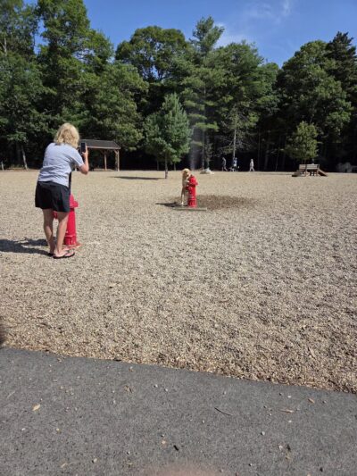 Brewster Dog Park - Brewster, MA