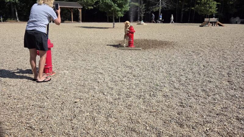 Brewster Dog Park - Brewster, MA