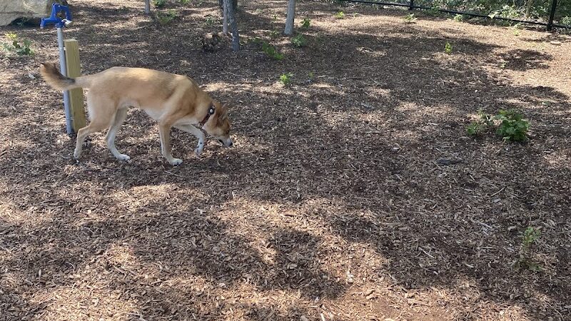 Brewster Dog Park - Brewster, MA