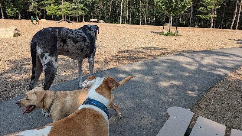 Brewster Dog Park - Brewster, MA