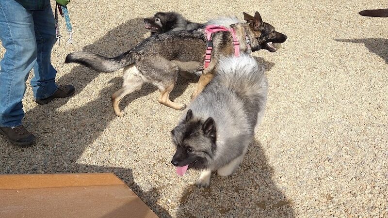 Brewster Dog Park - Brewster, MA