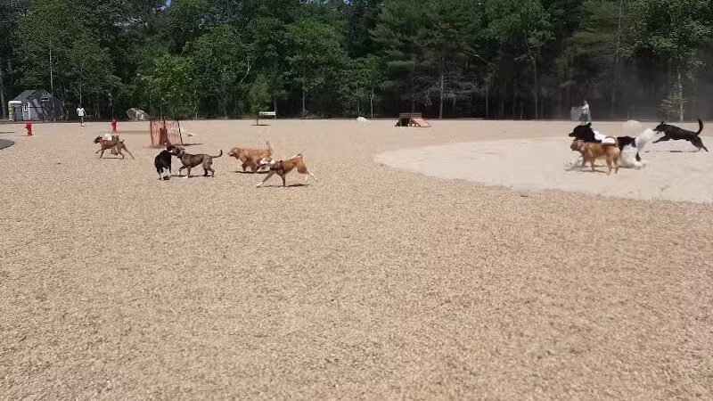 Brewster Dog Park - Brewster, MA