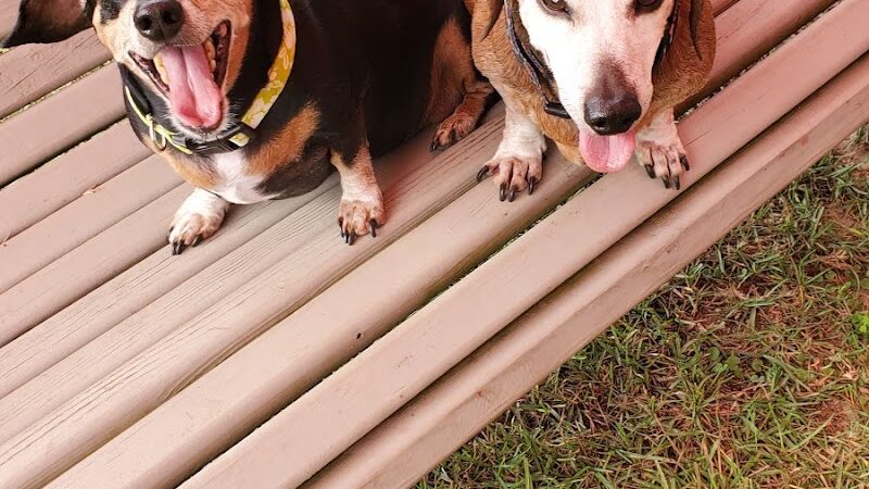 Gordy Dog Park - Brewton, AL