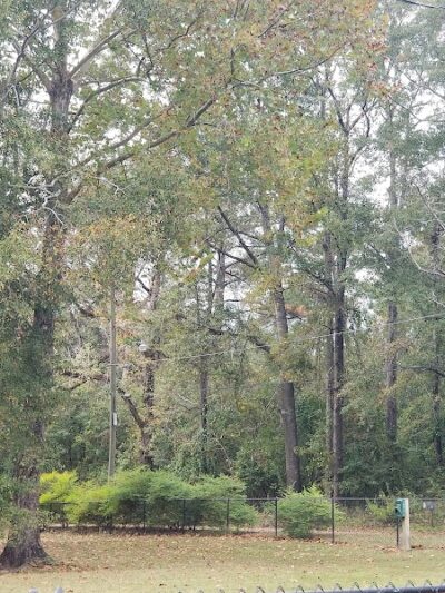 Gordy Dog Park - Brewton, AL