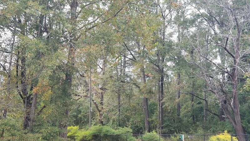 Gordy Dog Park - Brewton, AL