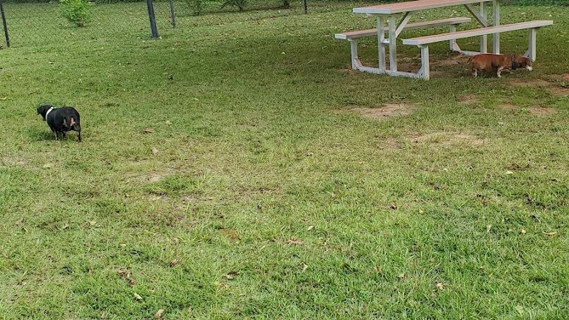 Gordy Dog Park - Brewton, AL