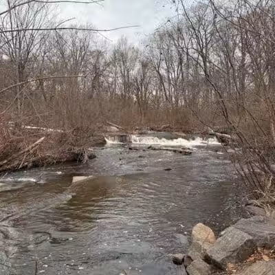 Beardsley Park - Bridgeport, CT