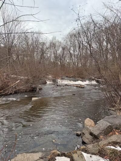 Beardsley Park - Bridgeport, CT
